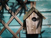 Bird-House-01.jpg
